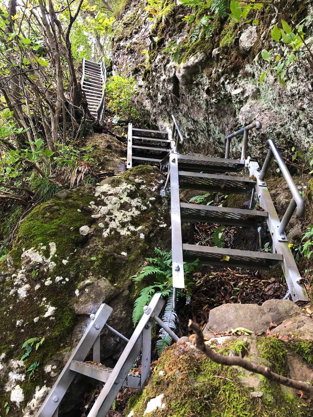 下山途中長〜いハシゴを登る↗️