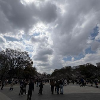 雲の光加減は好き
