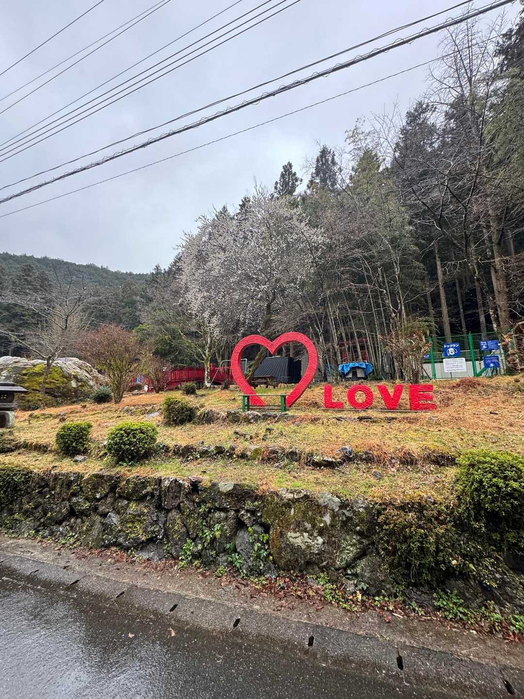 太平山-顔振峠 周回コースの写真