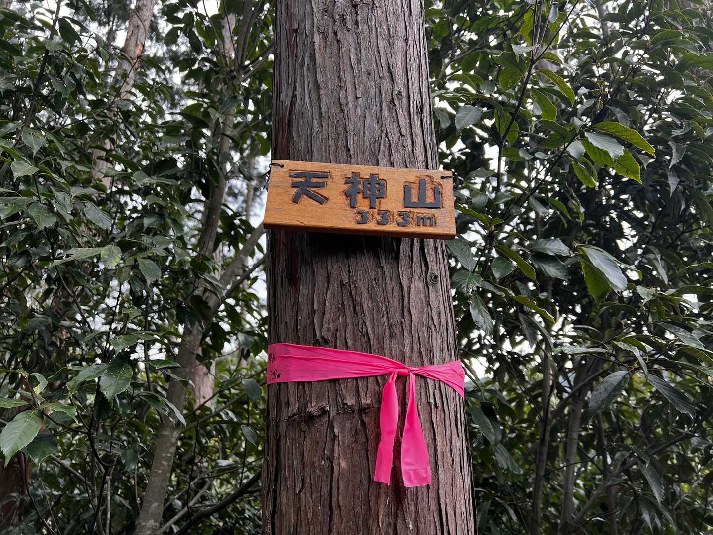 天神山⛰