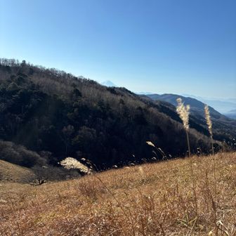 ひょっこり富士山🗻おはよー山