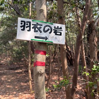 板場池の近くにあった看板と同じ方が作られたようですね