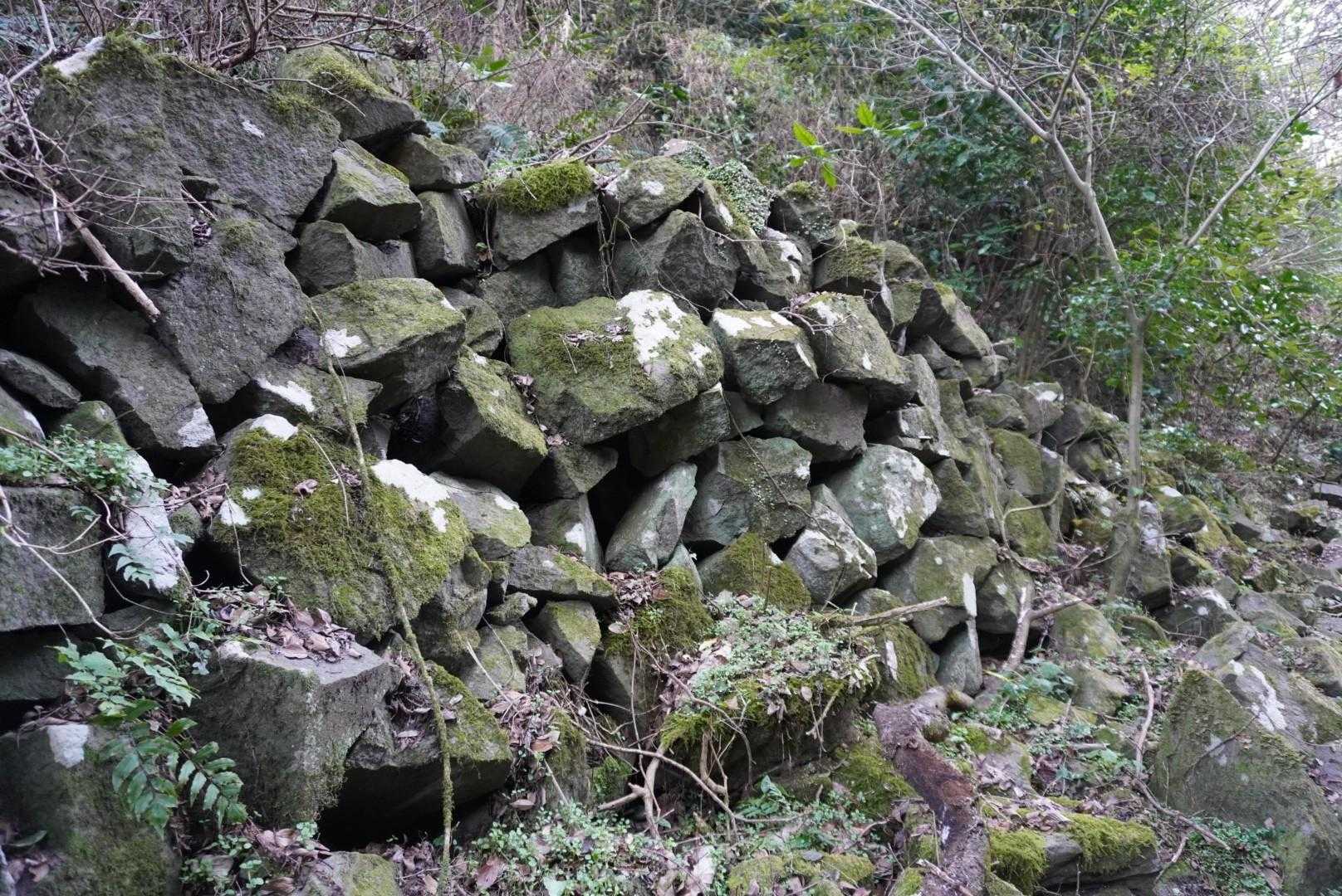 登山道に石垣が点在してます
