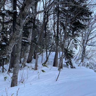 チラッと黄色いの見ーえた🤭