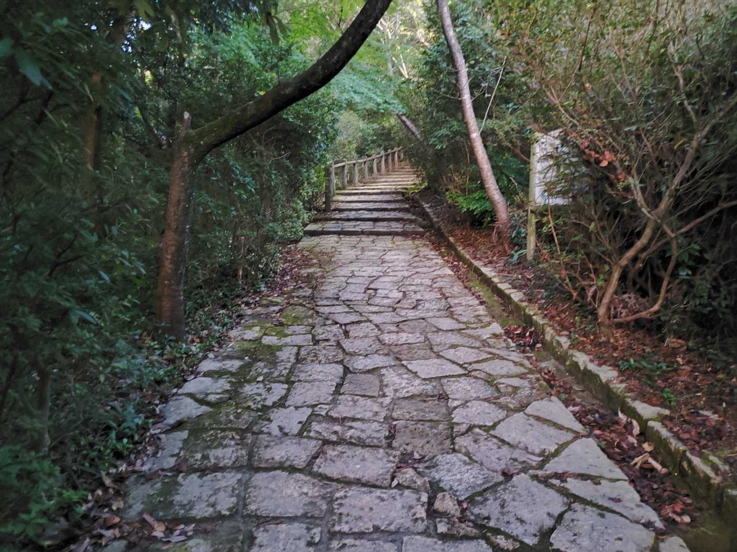 久々のお山です、よろしくお願いします
