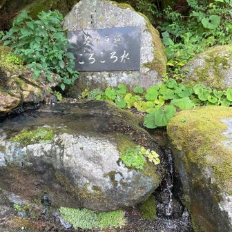 下って来ました。下りが長かった🫠
ごろごろ水。冷たくて美味しい💧