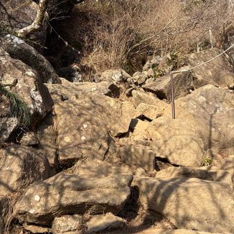 山頂に近づくにつれて登山道っぽくなってきた。
混んでると登山渋滞すごいみたいね😂