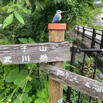 橋を渡り二子山方面へ