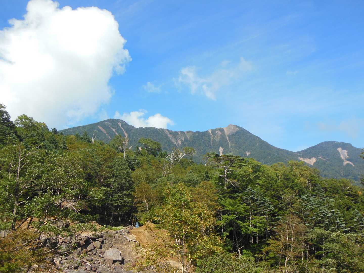 梵字飯場跡-志津峠-大真名子山-小真名子山-富士見峠 往復コースの写真