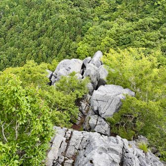 馬鹿試し　
4億年以上前の石灰岩でできた80mの断崖絶壁
足置き場も幅もしっかりあるので
先の方まで降りてみた🧗‍♀️
落ちたらタダでは済まないので、慎重に...