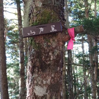 ？？
黒戸山山頂。
今回の登山で唯一登頂したピークです。