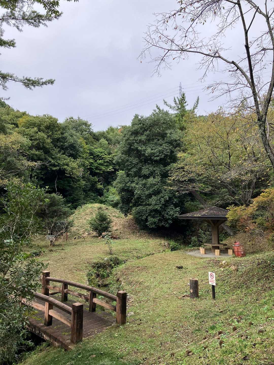 トンボ王国まで下山しました😊