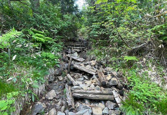 至仏岳　燧ヶ岳　会津駒ヶ岳　越後駒ヶ岳　巻機山　大型山岳模型透明ケース無し 尾瀬横断！ 燧ヶ岳〜至仏山 縦走を日帰りで。 / やすのりの登山データ
