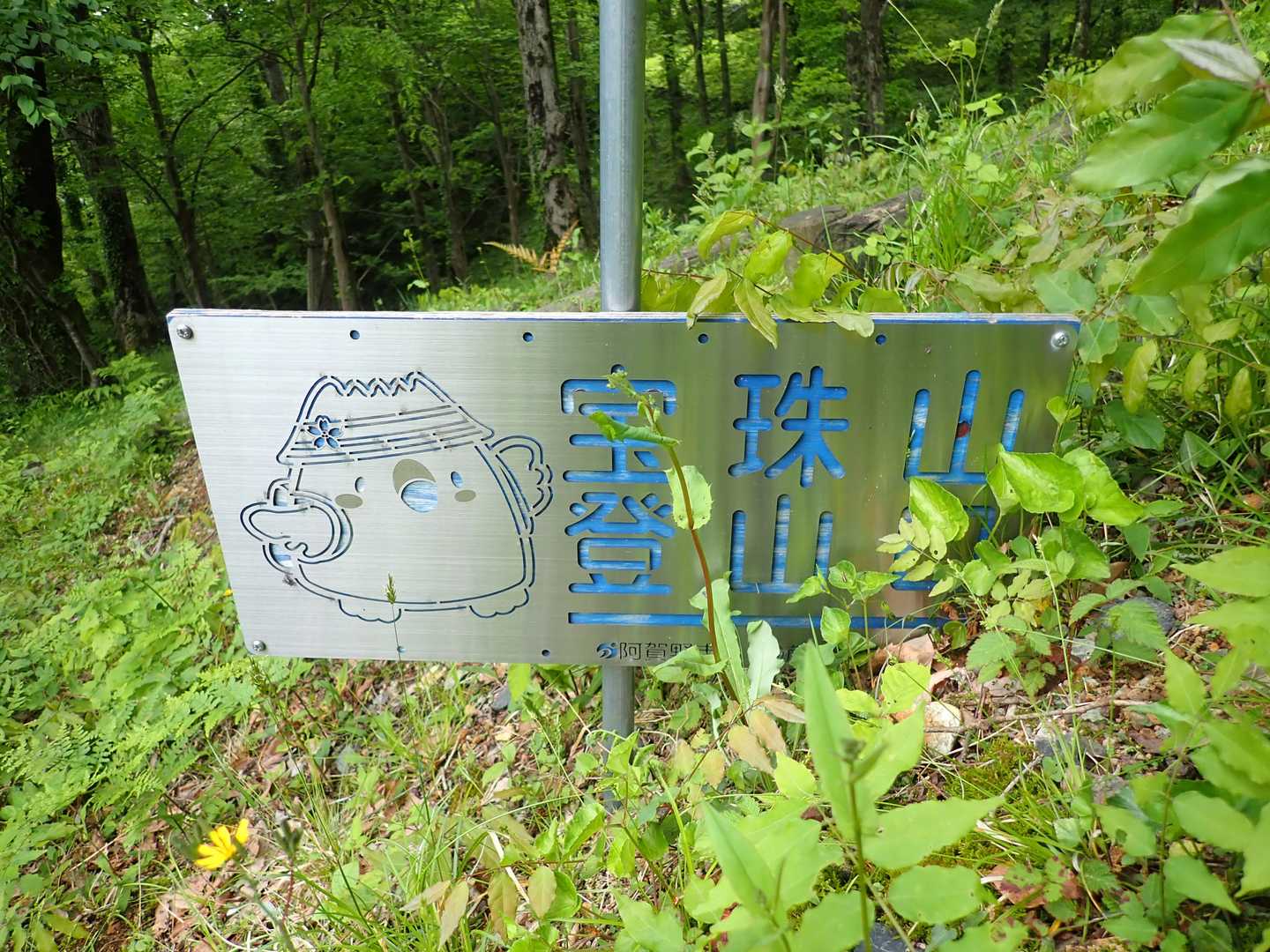 ここからスタート