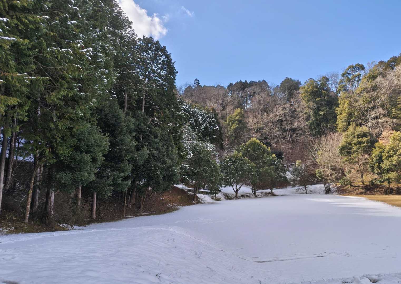 名残惜しいね。。❄️🥹