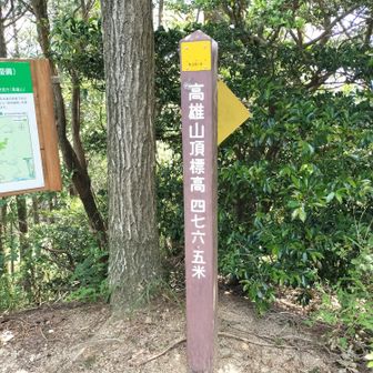 山頂まではまあまあ急登続きで、高雄山山頂到着　眺望なし😅