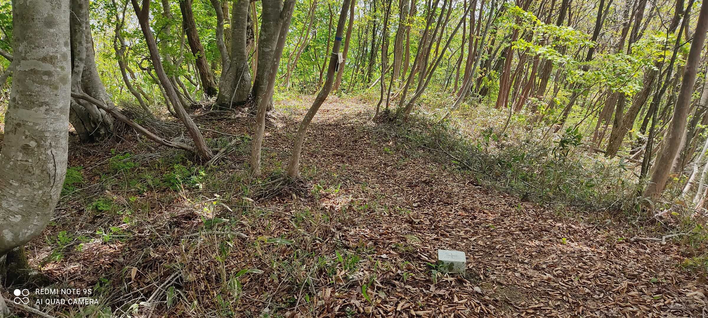 三内山の写真