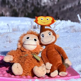 あ、ジョージ（仮）くんがコメスくんの️頭に‼️🤣