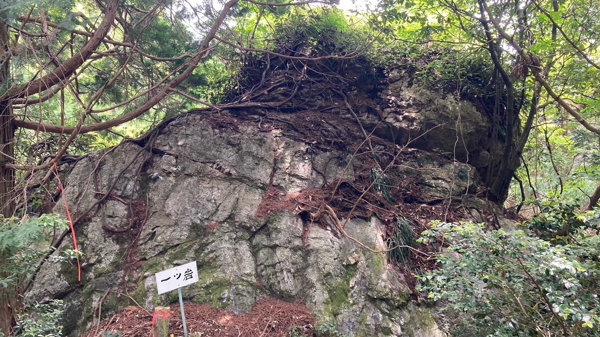 下山〜
途中で初心者山ガールさんペアに出会う
でも私も初めての山だったので、適当な事しか分からなくてごめんなさい💦
無事に山頂まで行けたでしょうか☺️
