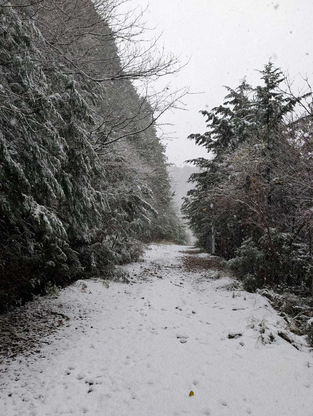 歩き始めて程なく、雪が積もっていました