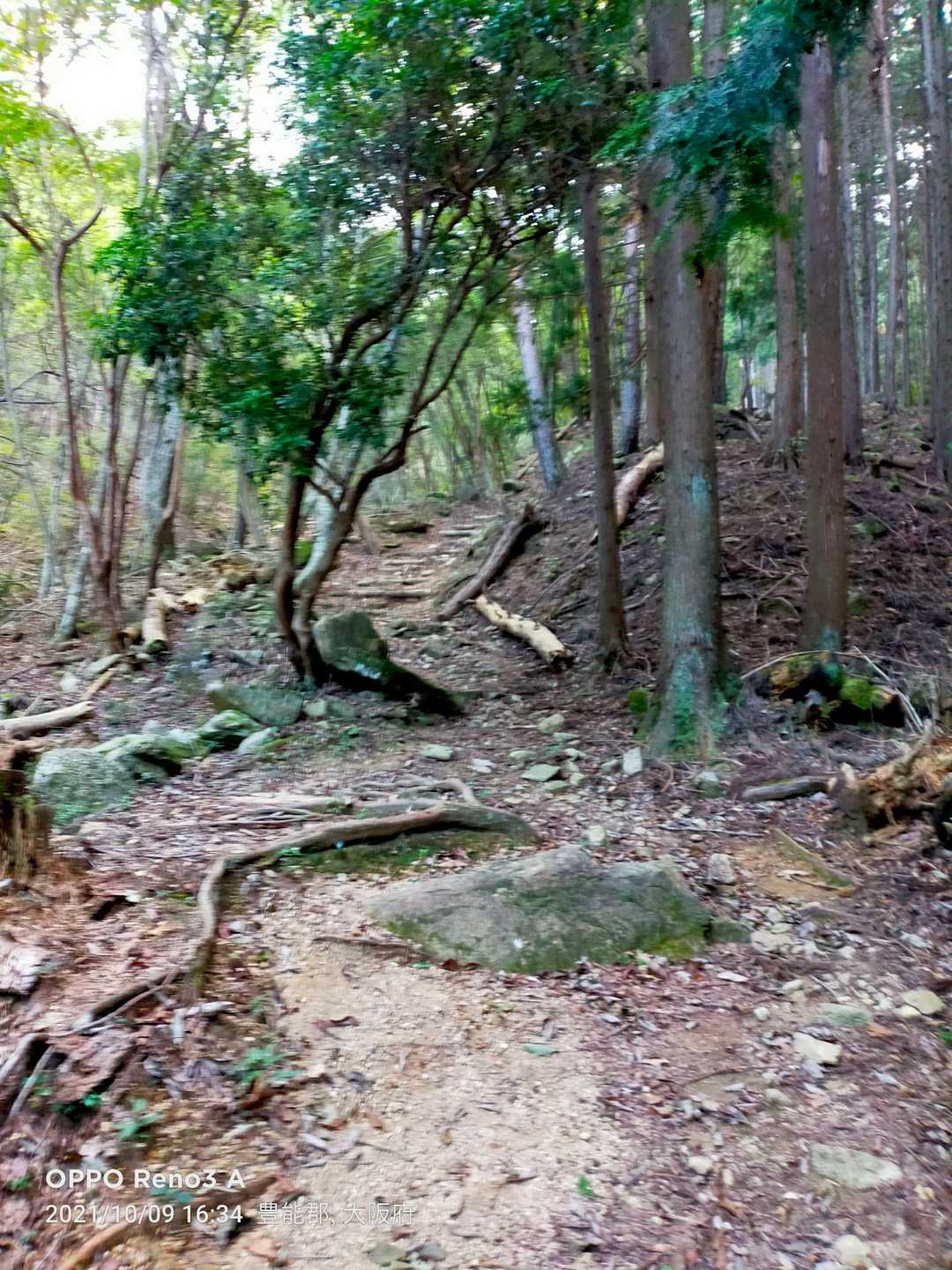 ルートは明瞭です。🎶