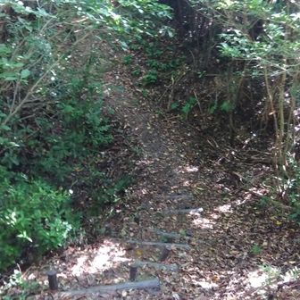 これも堀切跡