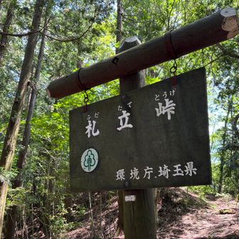34番札所を目指して、汗だくで登った
