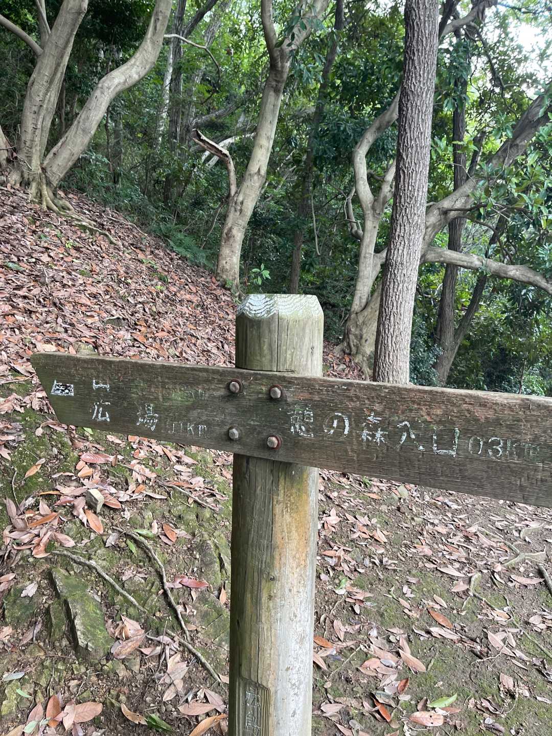 憩いの森入口-鈴ヶ峰-鈴ヶ峰 往復コースの写真