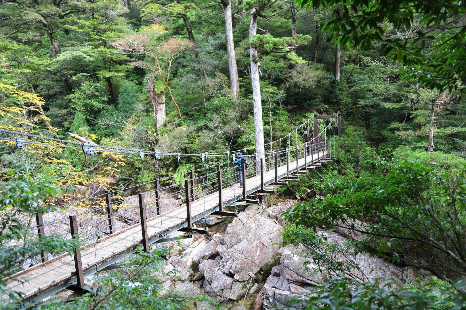 太忠岳 往復コースの写真