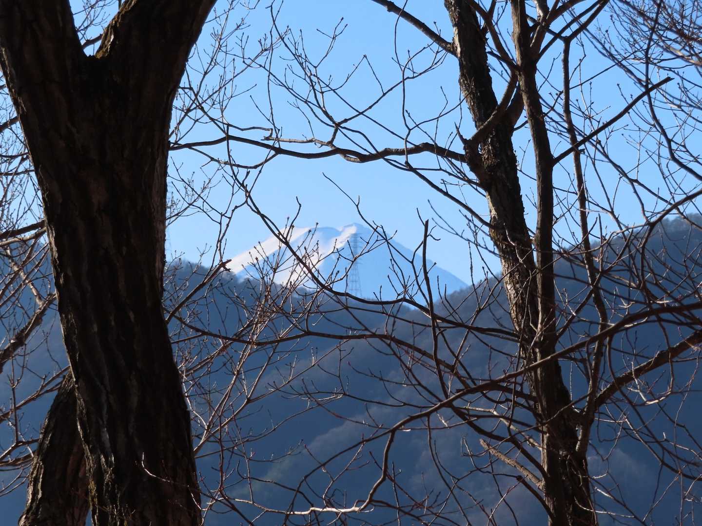富士山がこの日初めて見えました。