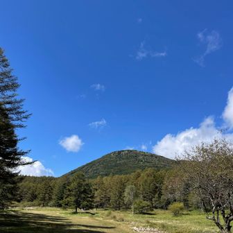 まあるく優しいお山でした(ずっと直登だったけど😅)
