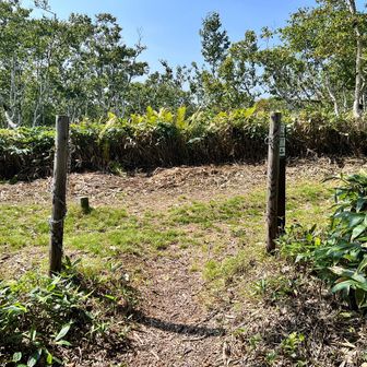 でもって、西別岳～摩周岳をつなぐ登山道との分岐に到着～。