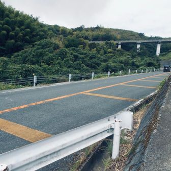 脱出成功‼️