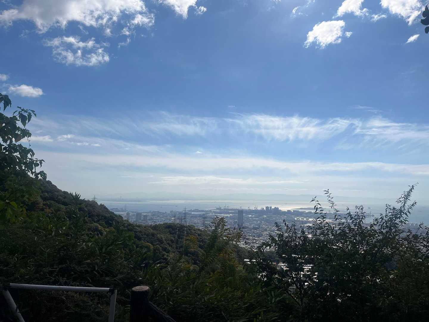 油コブシ-六甲山上駅の写真