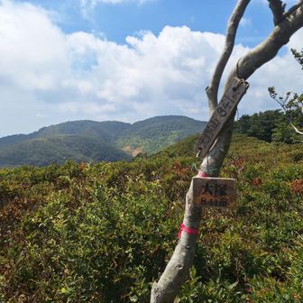 2座目【大塚山】
次に向かう割谷の頭、寒風が見えてます