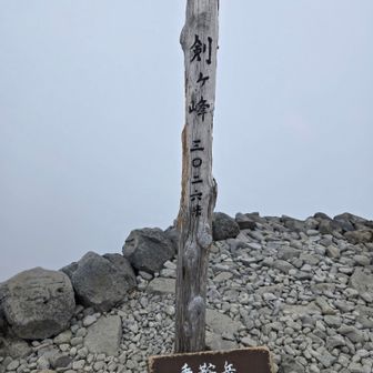 ずれてたんで…😅
