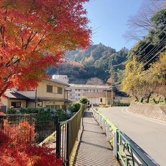 ロードをのそのそ走ります