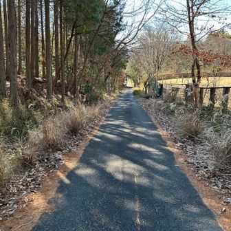 ここから能勢温泉駐車場まで
ロードです。