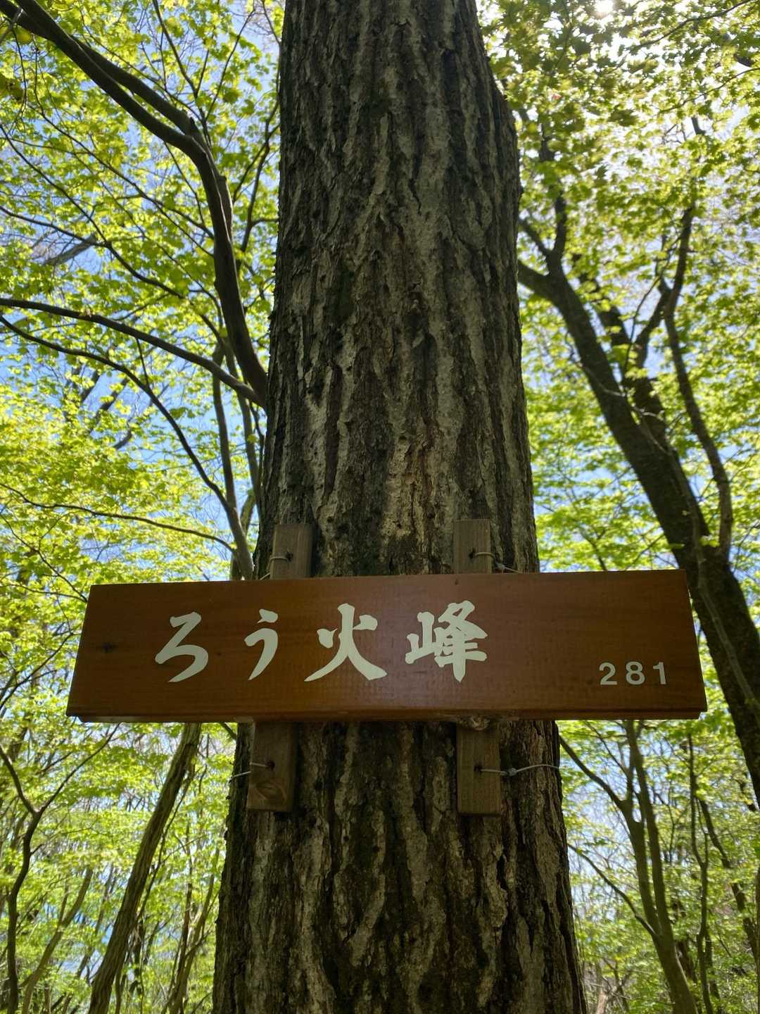 最高到達点