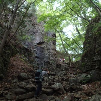 岩と緑に挟まれた気持ちの良いトレイル