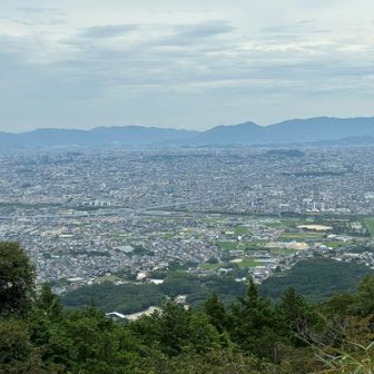 展望所から福岡市内👀