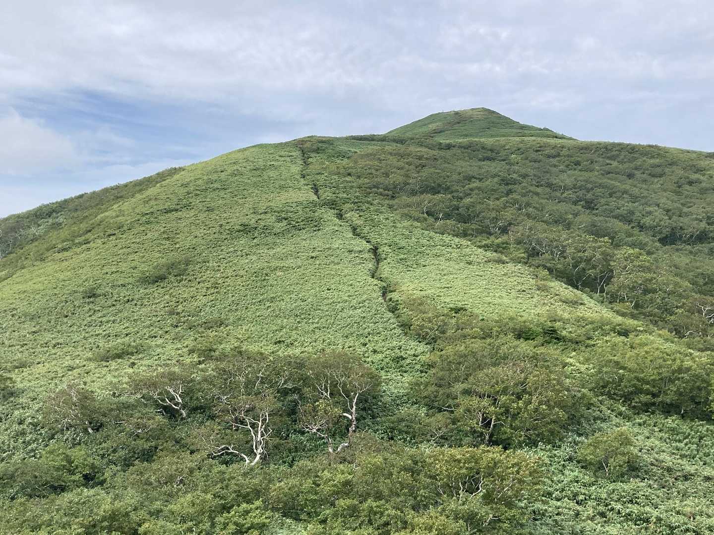 礼文岳-礼文岳登山口 縦走コースの写真