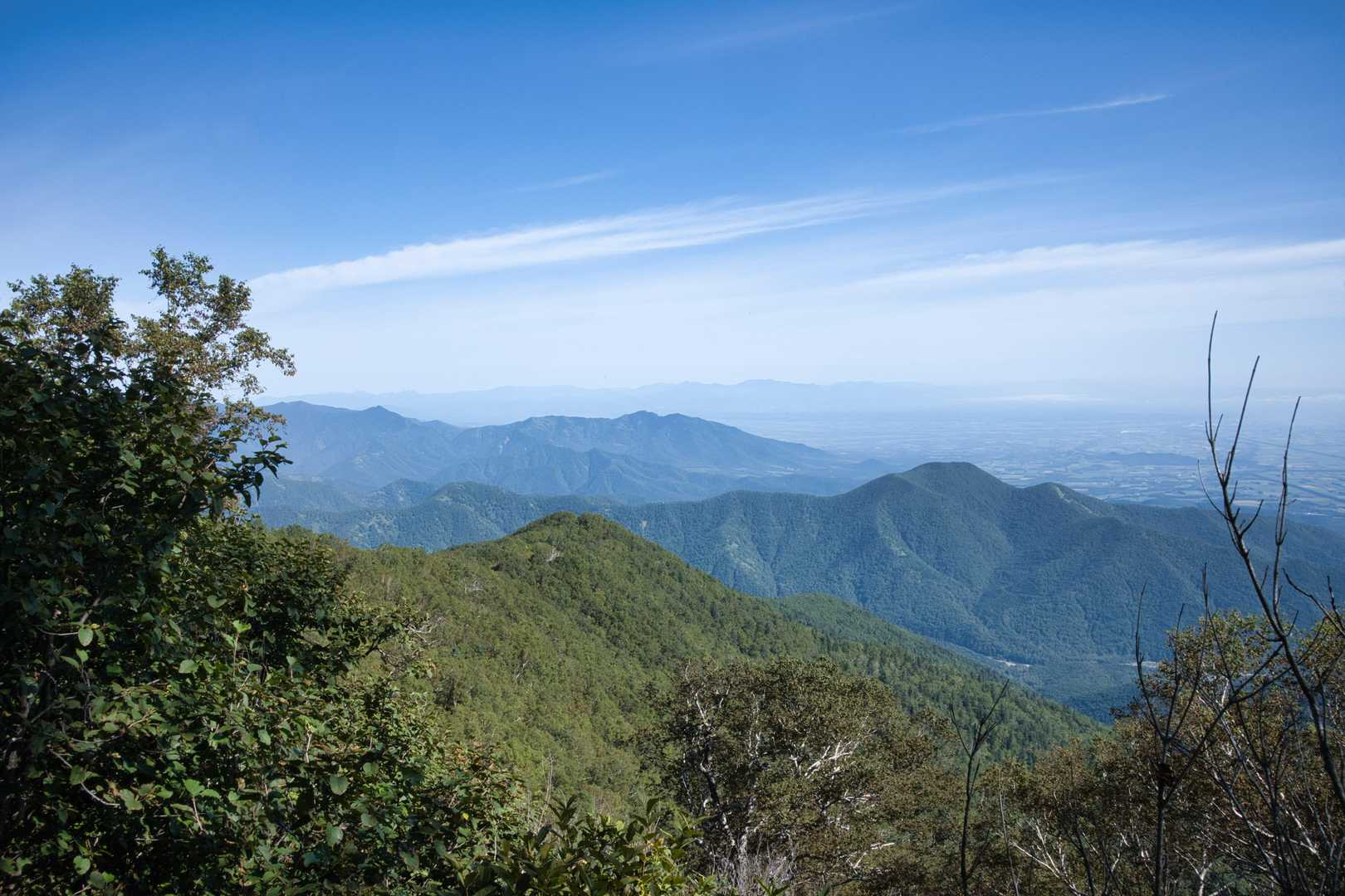 高度を上げて肩に出ると、帯広岳の奥に剣山が姿を見せてくれました🏞️