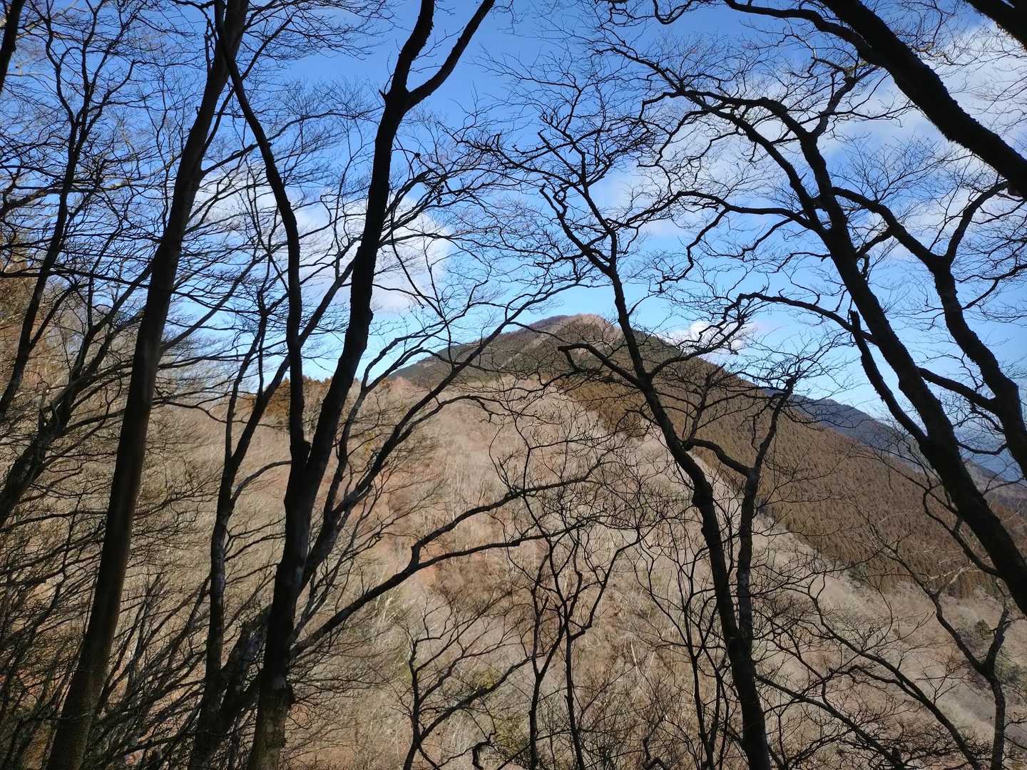 あれが真富士山か？
快晴☀
