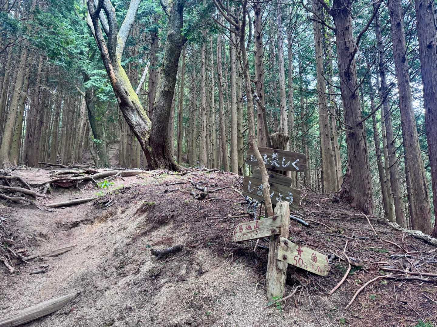 
ベンチのとこ〜😣💦

👈🏻葛城山 40分 1.7km
       青 崩  50分 1.7km👉🏻

やっと半分〜🥵💦
