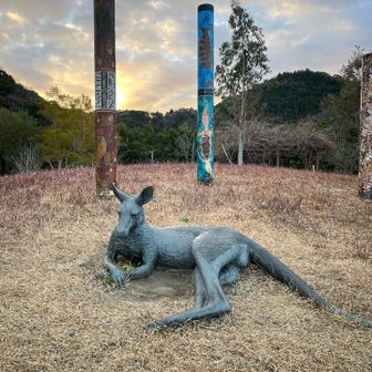 カンガルー公園
オーストラリアのグラッドストーン市と佐伯市は姉妹都市なんだって