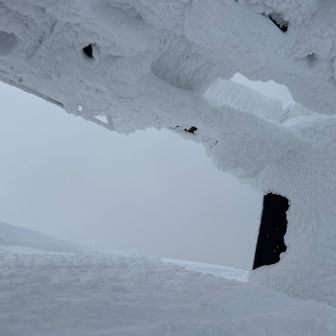 もはや手が届きます