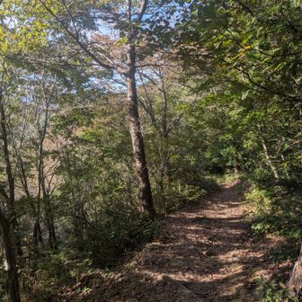 ちょっと日差しの下だと暑くなってきた