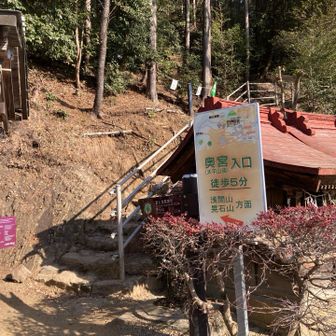 神社の横から登山道