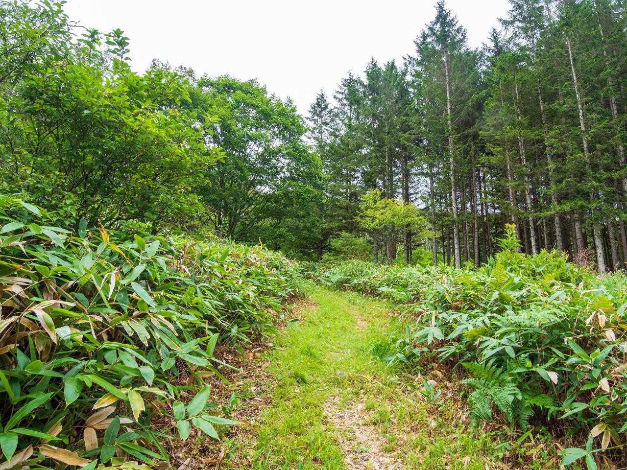 桟敷山-小桟敷山 周回コースの写真